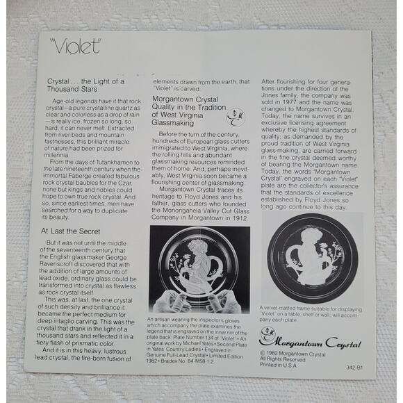 Morganstown Michael Yates full lead hand carved crystal plate, Violet. - Picture 6 of 6